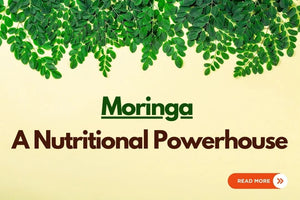 Why is Moringa a Nutritional Powerhouse?