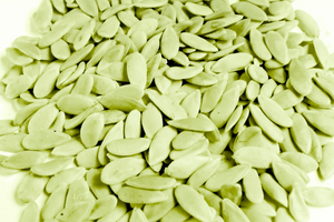 7 Musk Melon Seeds Benefits - Don't throw them out