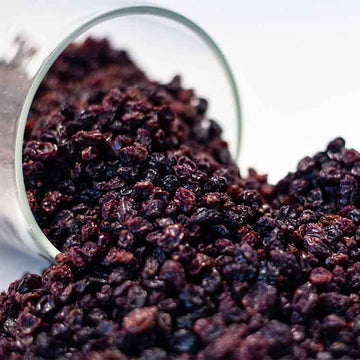 Premium Quality Dried Blackberries