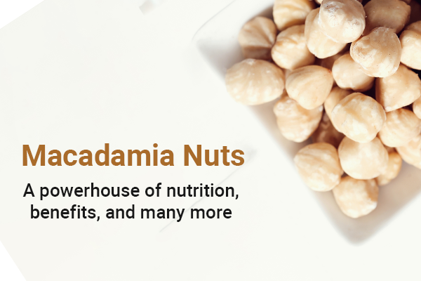 Macadamia nuts: A powerhouse of nutrition, benefits, and many more