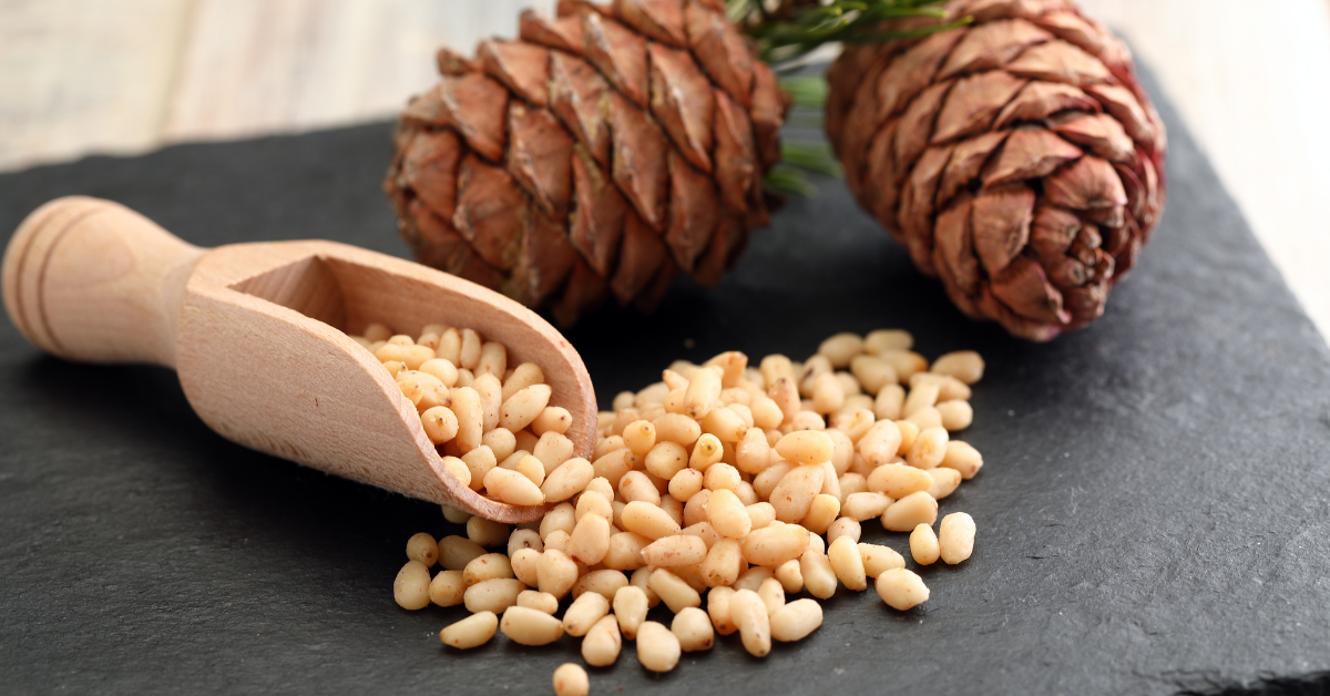 9 Amazing Health Benefits Of Eating Chilgoza Dry Fruit Pine Nuts