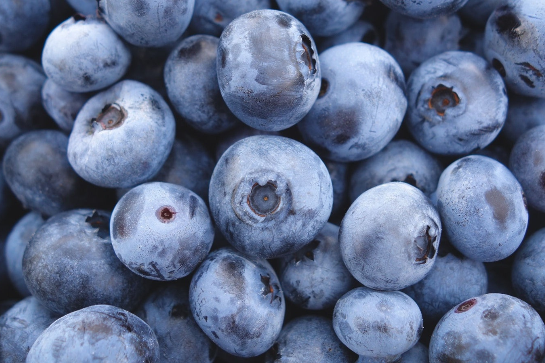 Blueberries in India