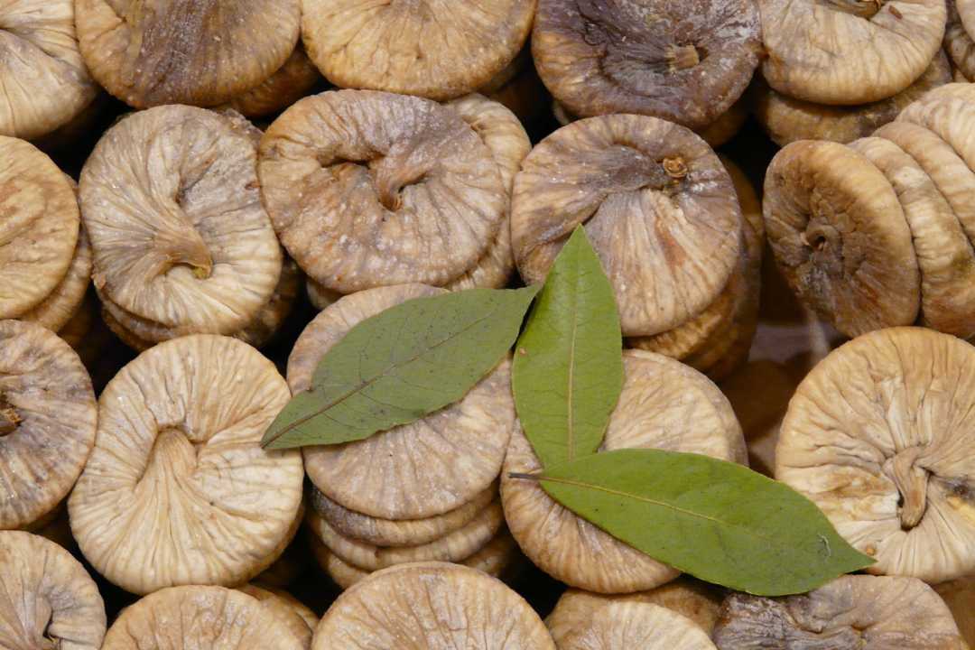 अंजीर खाने के फायदे (anjeer khane ke fayde in hindi) - Healthy Master