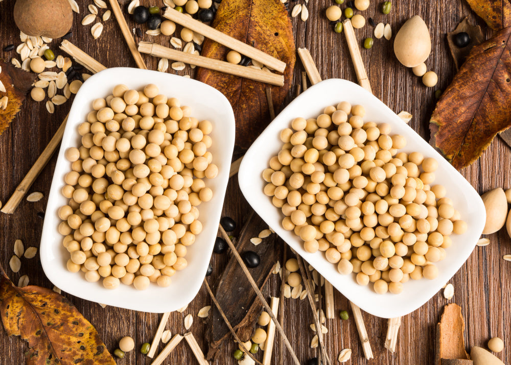 Soya Nuts: The Protein-Packed Snack You Need in Your Life