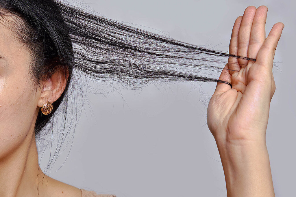 Hair fall problem? 9 Dry Fruits, Nuts & Seeds That Promote Hair Growth - Healthy Master