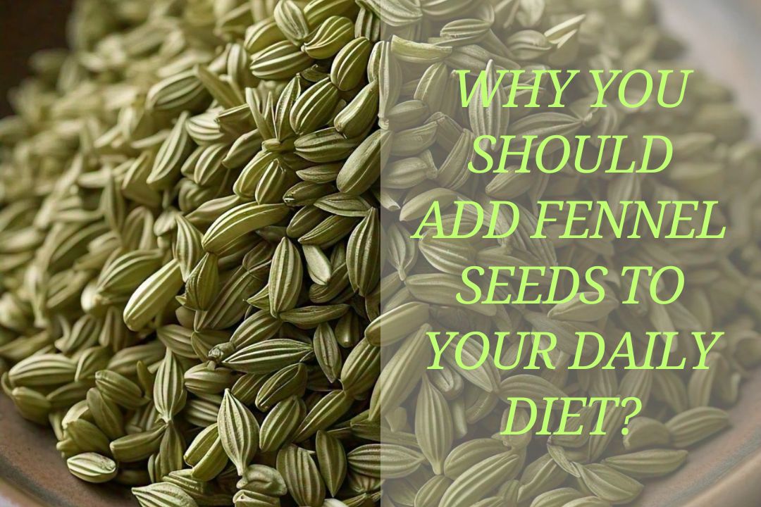 Why You Should Add Fennel Seeds to Your Daily Diet