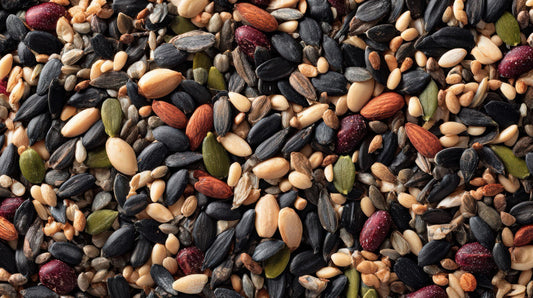 Seeds: Importance and Health Benefits
