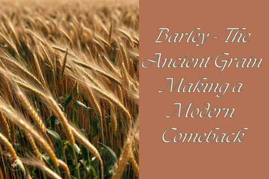 Barley - The Ancient Grain Making a Modern Comeback