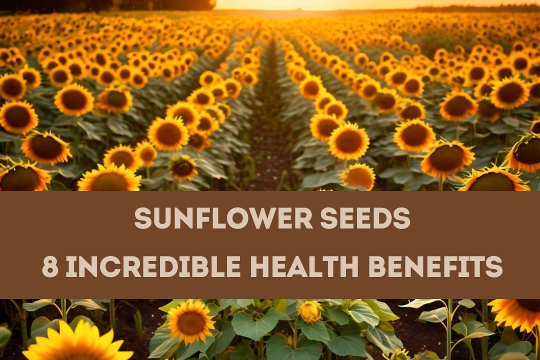 Sunflower Seeds: 8 Incredible Health Benefits and Recipes