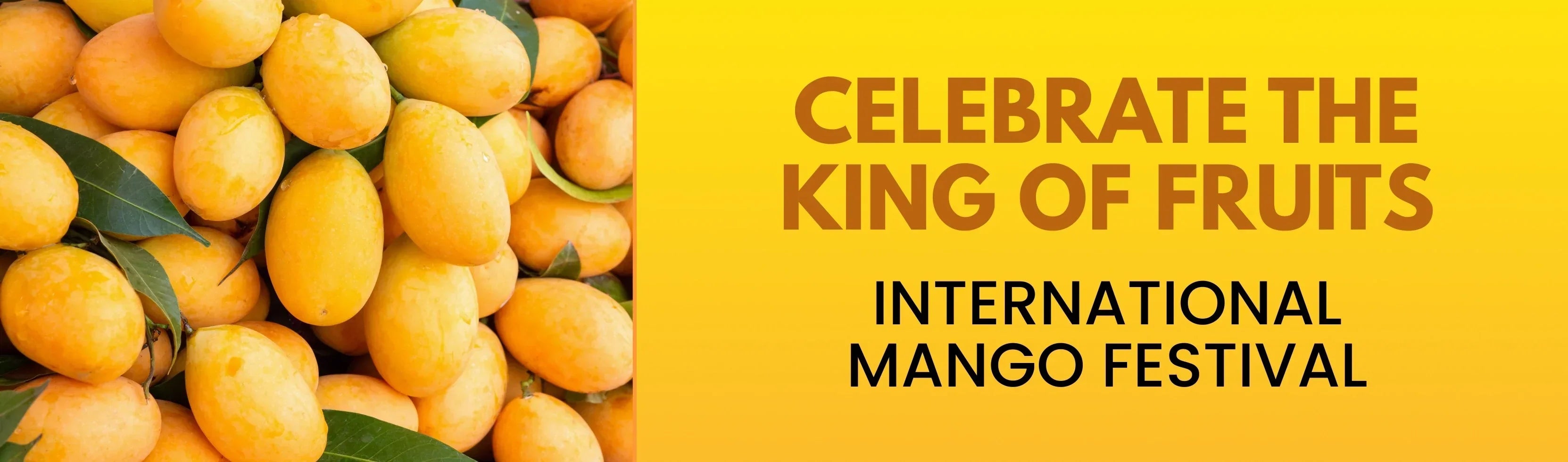 The International Mango Festival: Inspirations for Healthy Breakfast Cereal