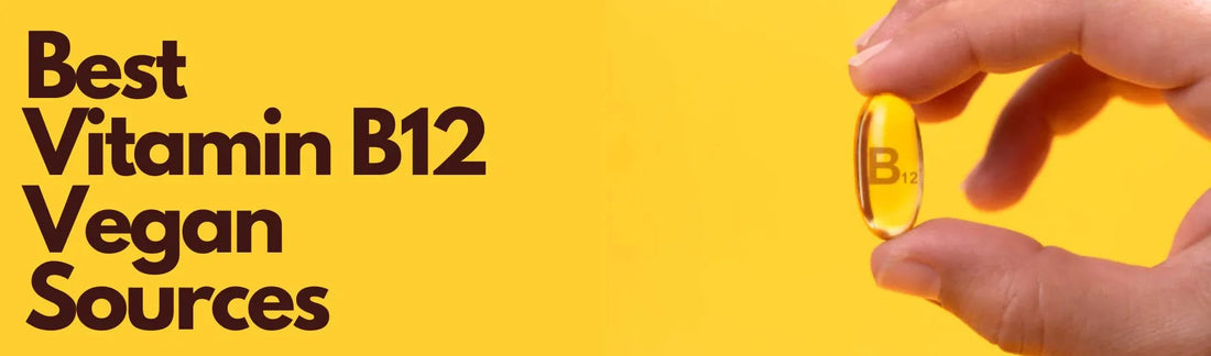 B12 Banner