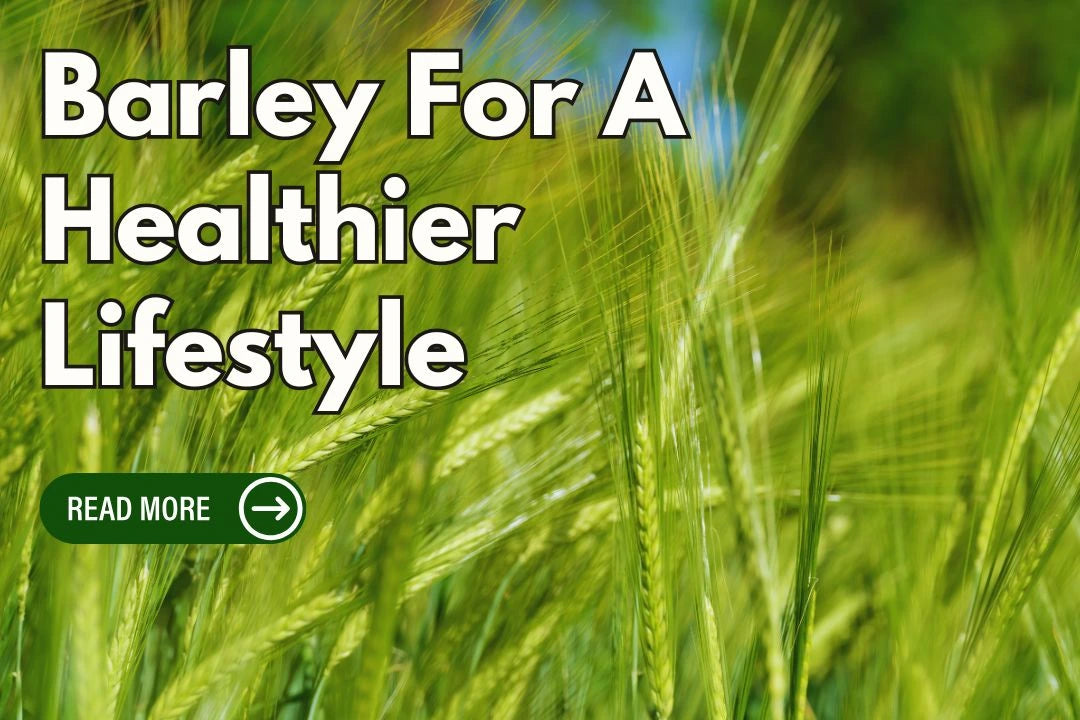 Include Barley In Your Diet For A Healthier Lifestyle