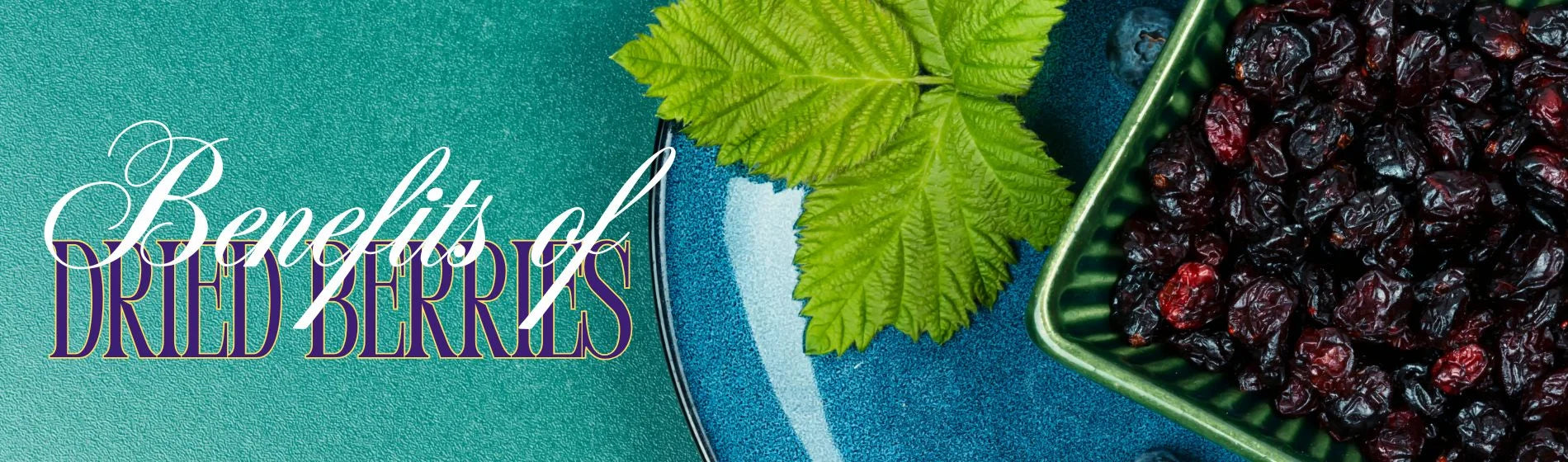 Are Dried Berries Healthy? Top Benefits You Should Know