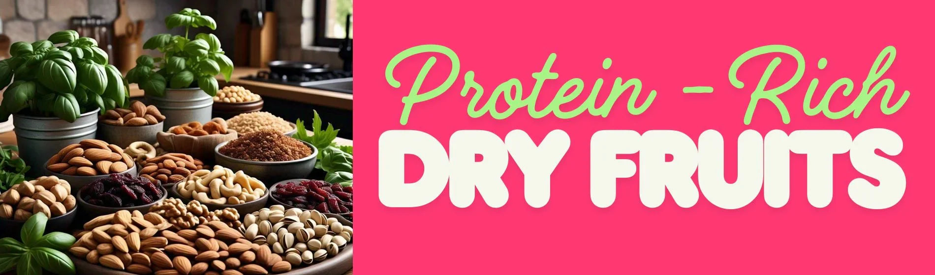 Stay Fit Naturally: Best Protein-Rich Dry Fruits to Eat Daily