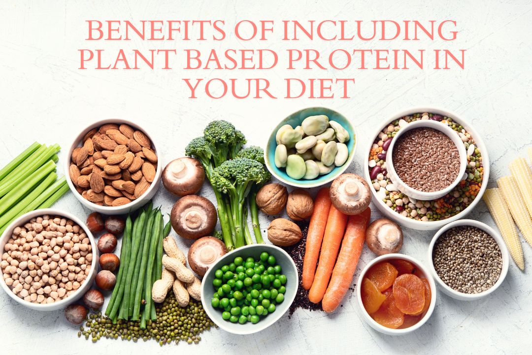 Benefits of Including Plant Based Protein in Your Diet