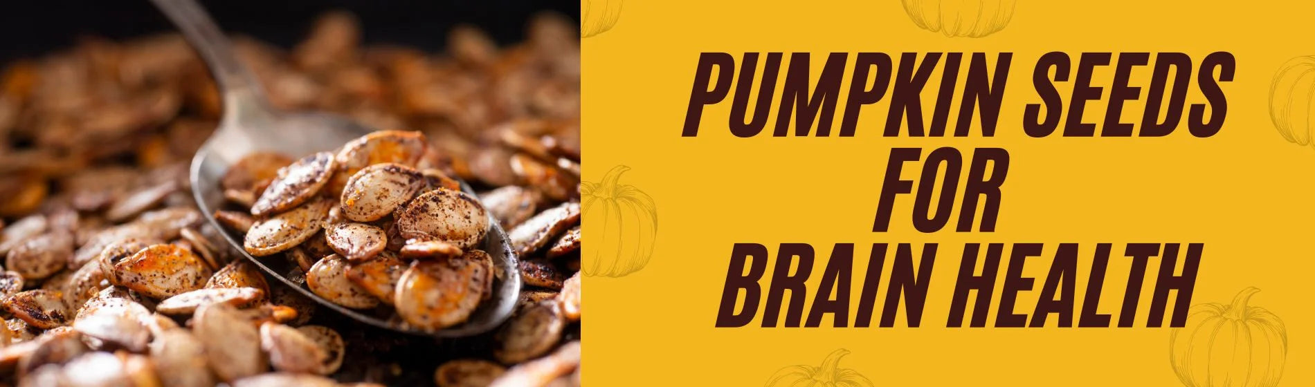 How Pumpkin Seeds Support Your Brain Health?
