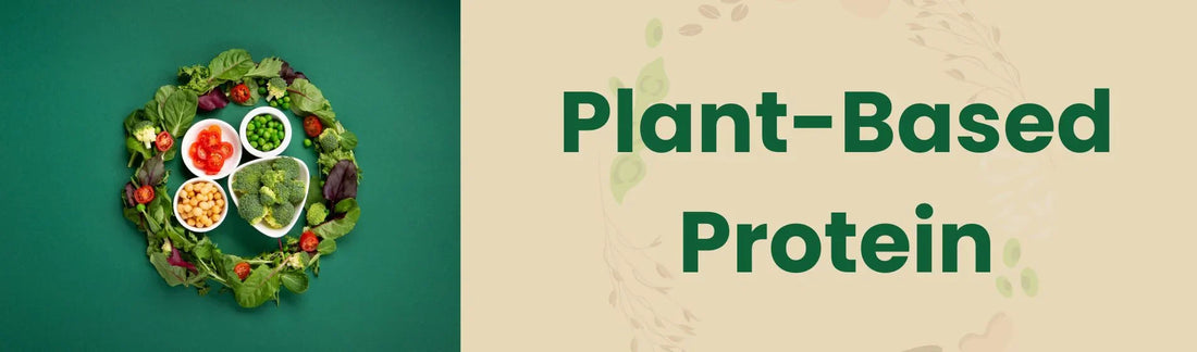 Plant Based Protein