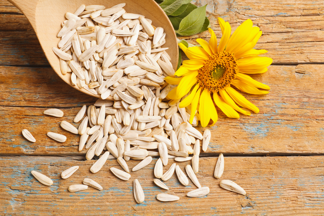 Shed Pounds with Sunflower Seeds: Your Key to Weight Loss!