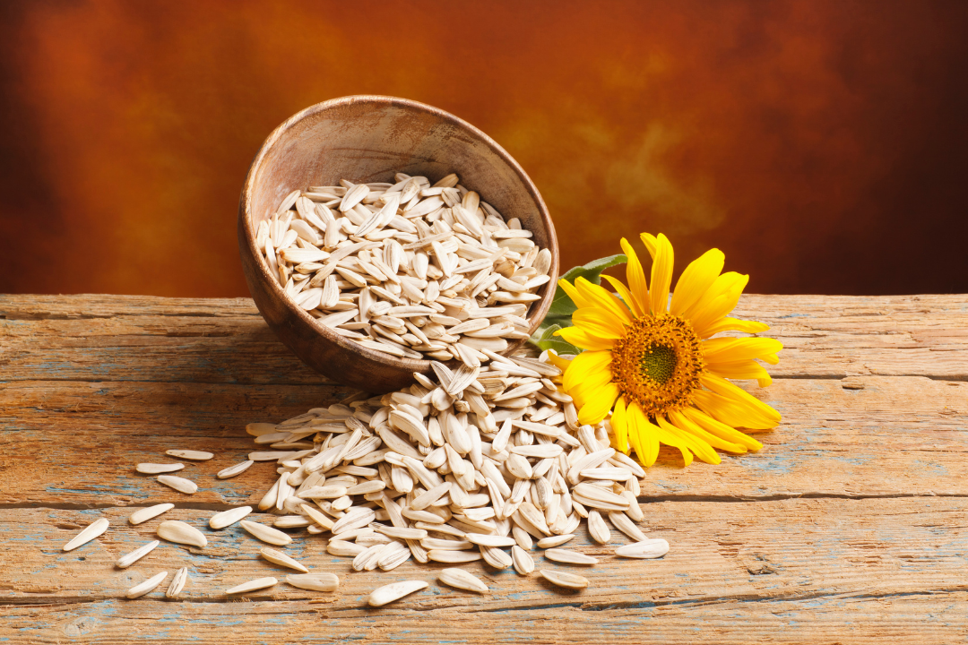 Sunflower Seed Benefit for Female - Healthy Master