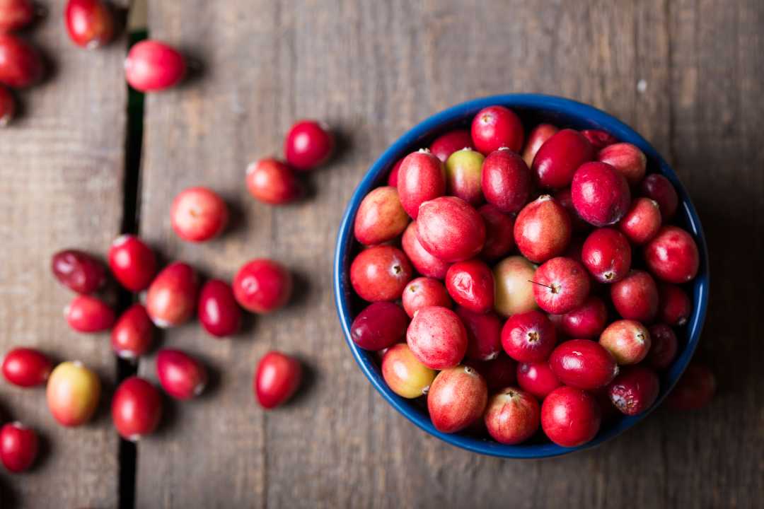 5 Health Benefits of Eating Cranberries You Must Know - Healthy Master