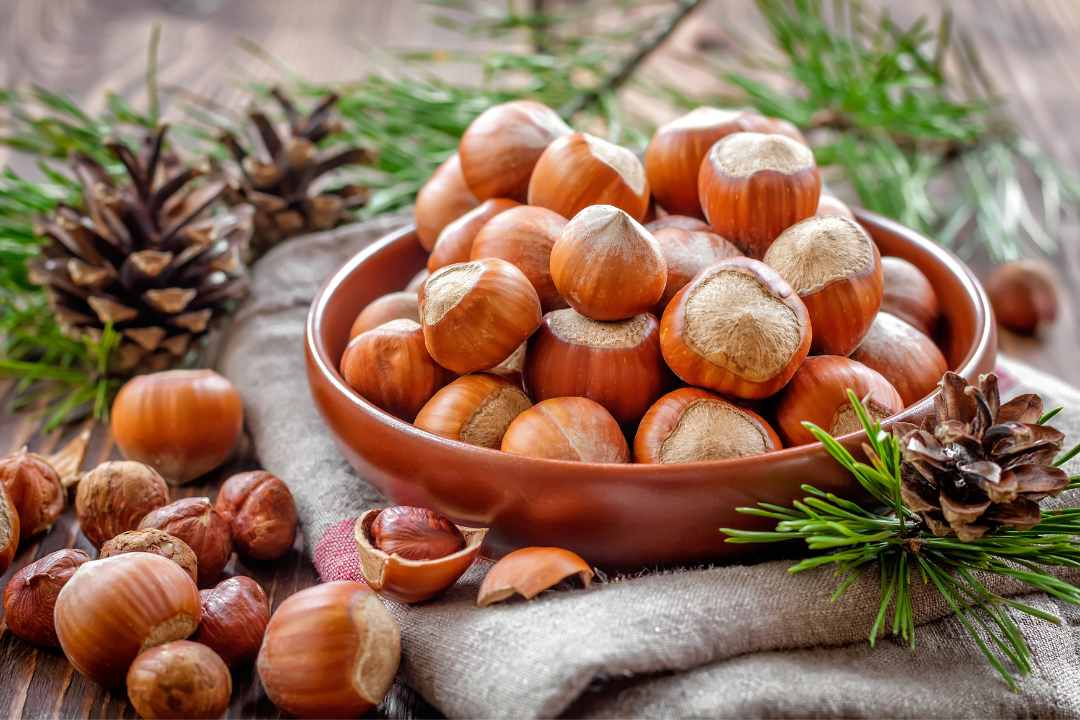 5 Health Benefits of Hazelnuts | Healthy Master