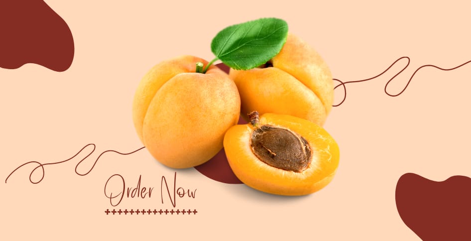 8 Khumani fruit Benefits (Apricots)