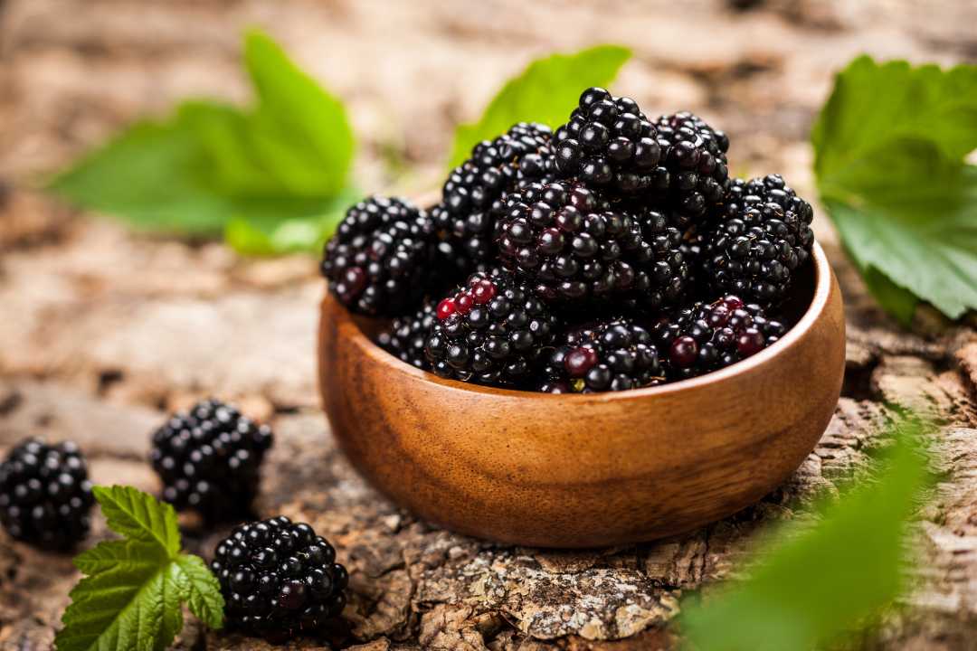 blackberry benefits for skin