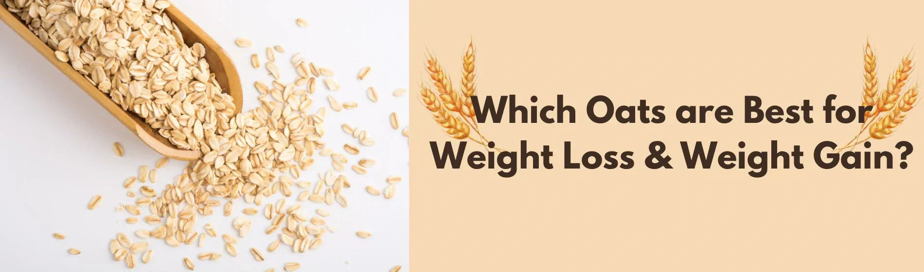 Which Oats are Best for Weight Loss & Weight Gain?