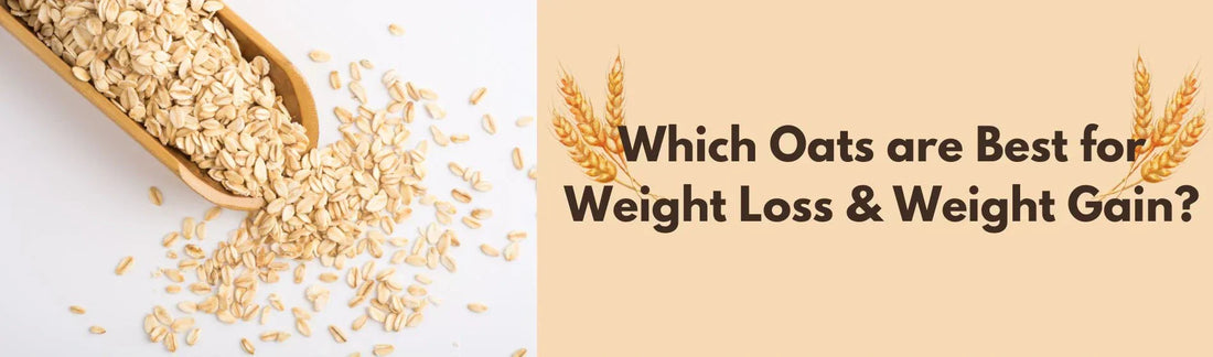 Oats for weight loss and gain 