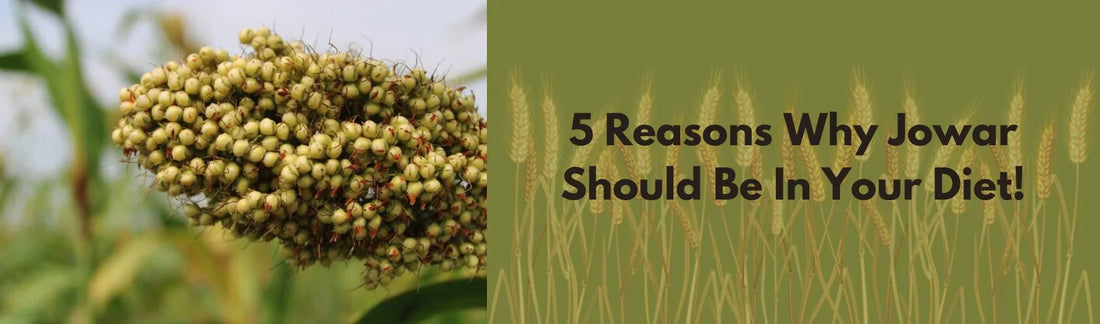 Reasons to Include Jowar in Your Diet 