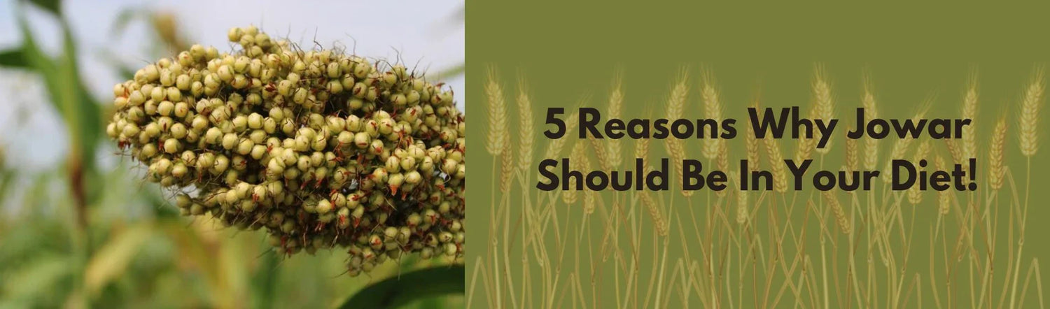 Reasons to Include Jowar in Your Diet 