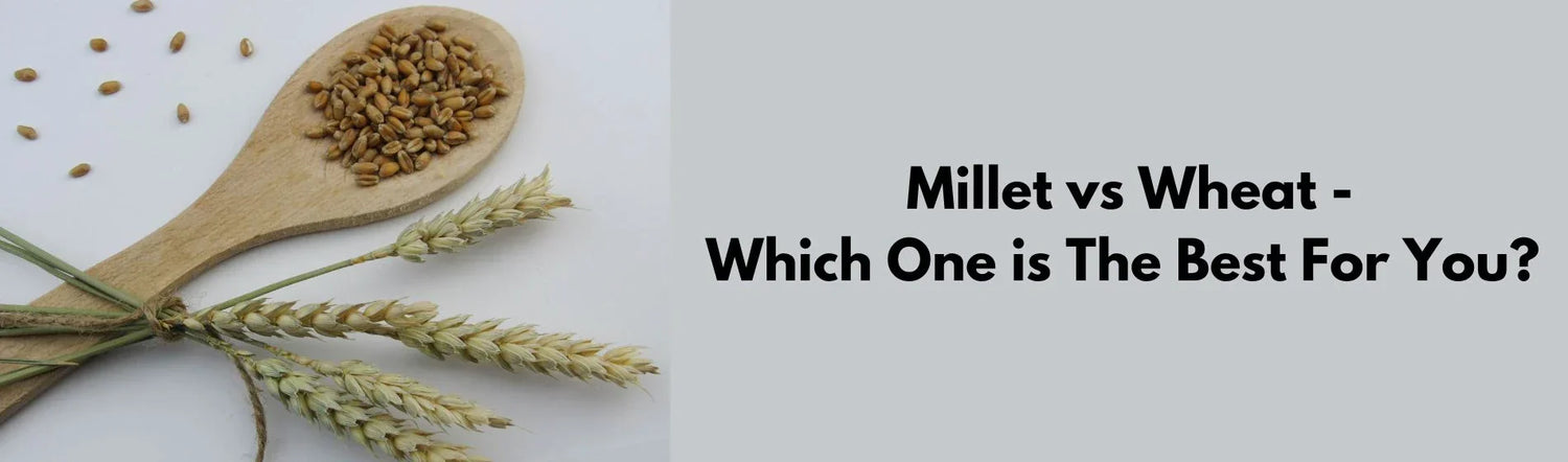 Millet vs Wheat 