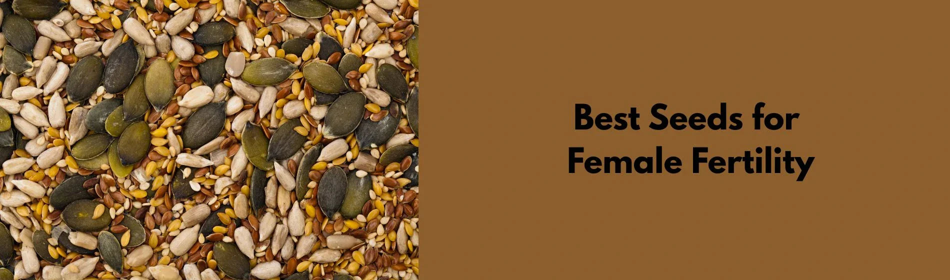 Best Seeds for Female Fertility: Nature’s Tiny Powerhouses for Reproductive Health