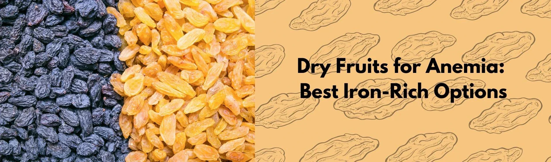 Dry Fruits for Anemia: Best Iron-Rich Options