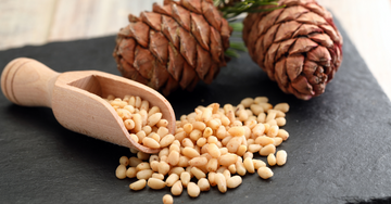 Chilgoza image used in the post of pine nuts benefits and but pine nuts online in india
