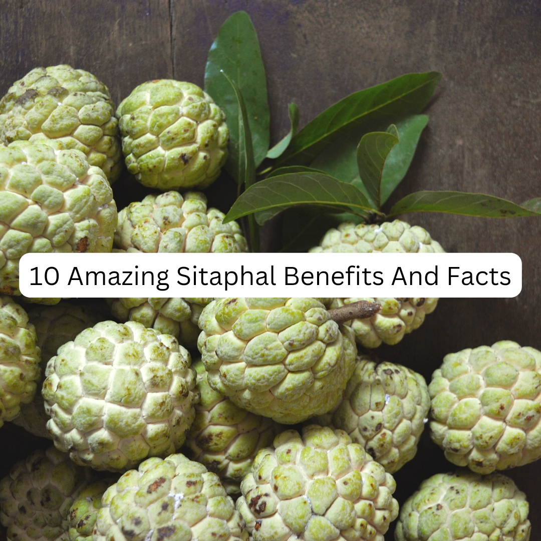 10 Amazing Sitaphal Benefits And Facts - Healthy Master