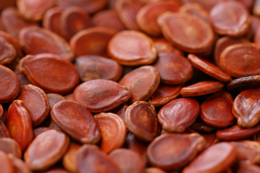 5 Amazing watermelon seeds benefits - [No more Spitting Contest]