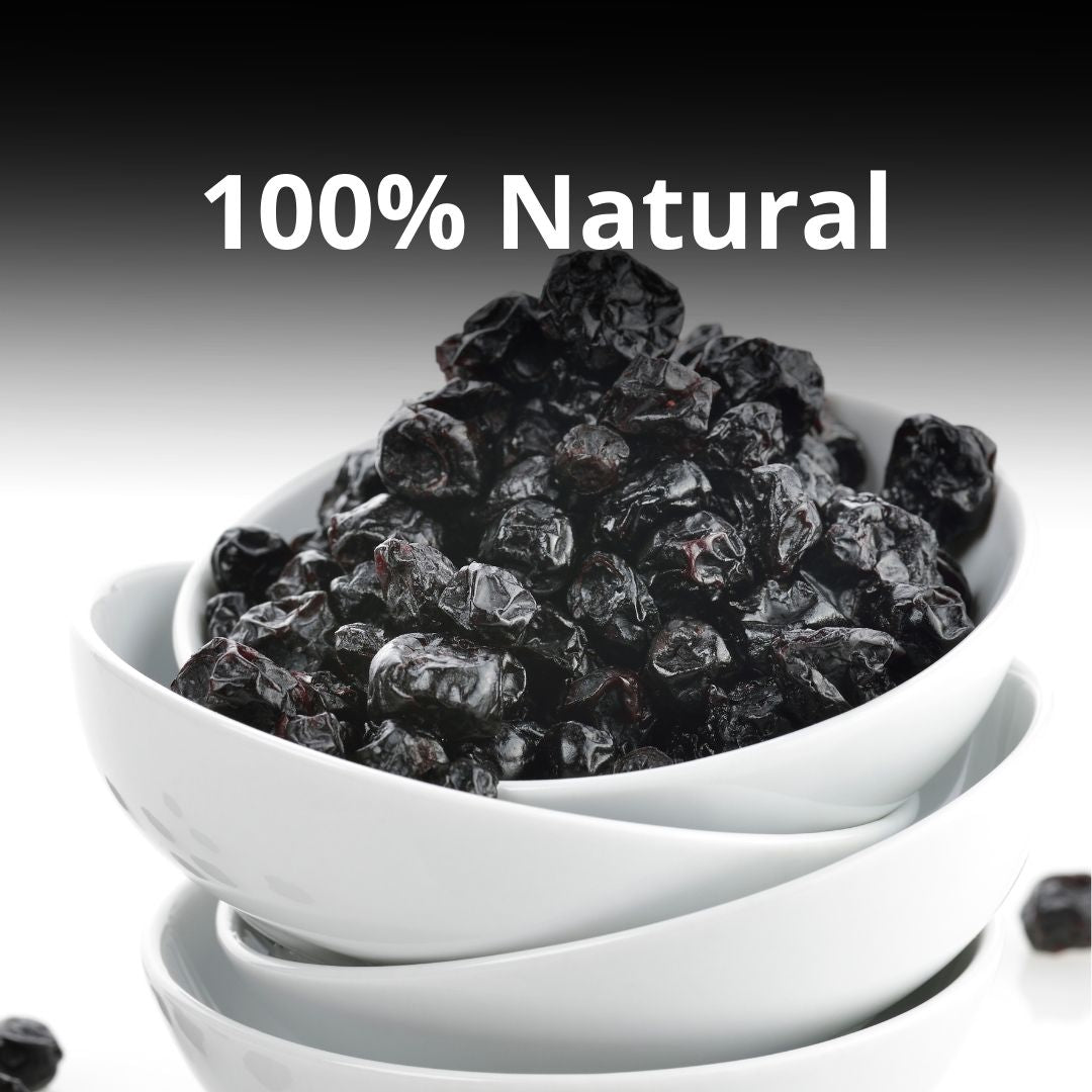 Premium Quality Dried Blueberries - Healthy Master