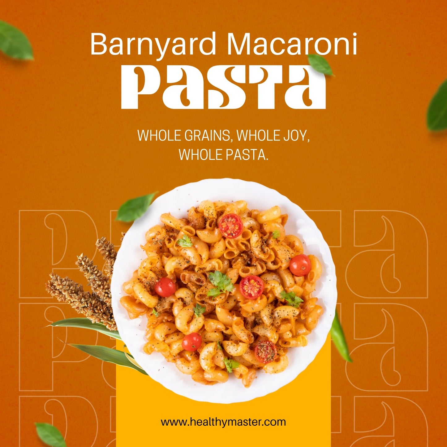Barnyard Macaroni Pasta