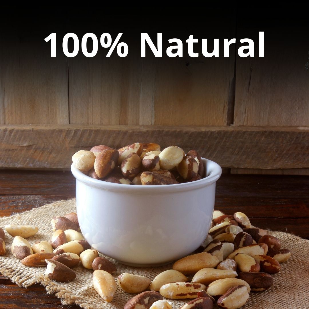 Brazil Nuts - Rich in Nutrition - Healthy Master