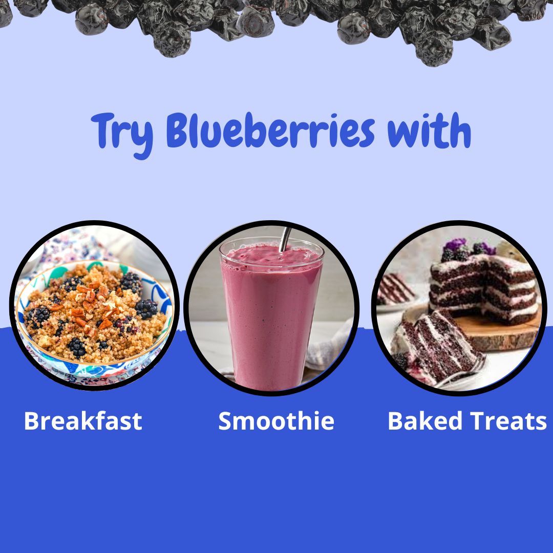 Premium Quality Dried Blueberries - Healthy Master