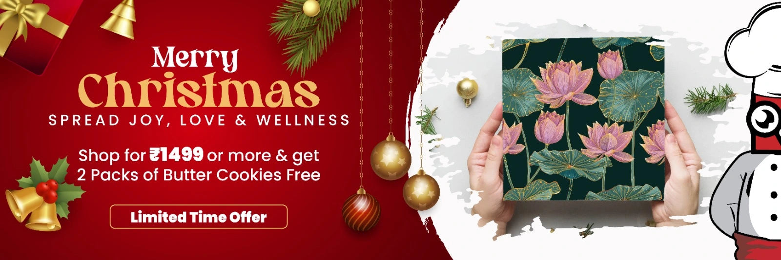 Christmas Gifts, Healthy Master, Healthy Master Offer