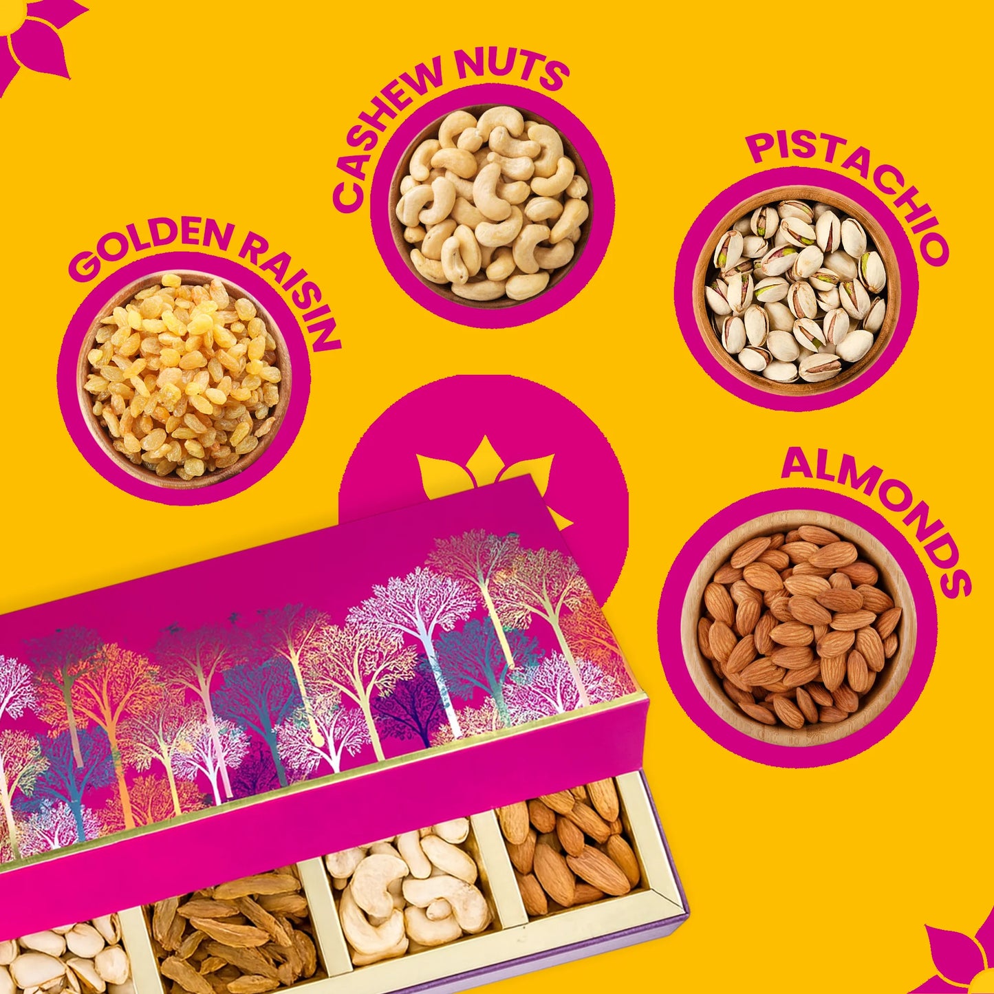 NutriFest Diwali Collection