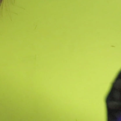 Ragi Balls | High in Protein (Salted Flavour)