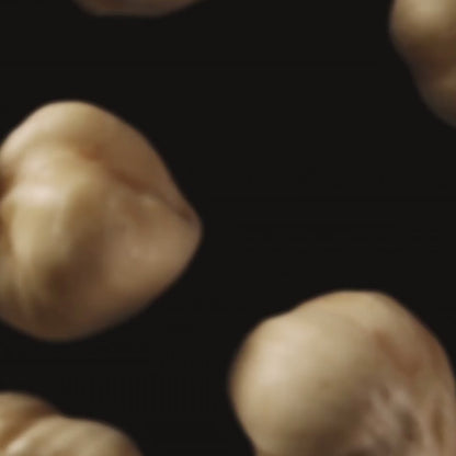 Premium Quality Hazel Nuts