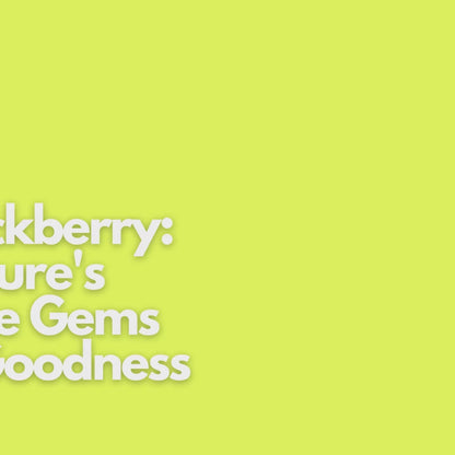 Premium Quality Dried Blackberries