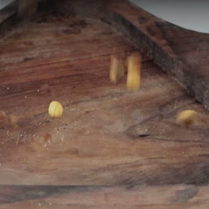 Roasted Salted Chana