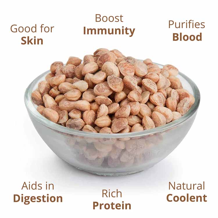  Charoli Dry Fruit 1kg Price