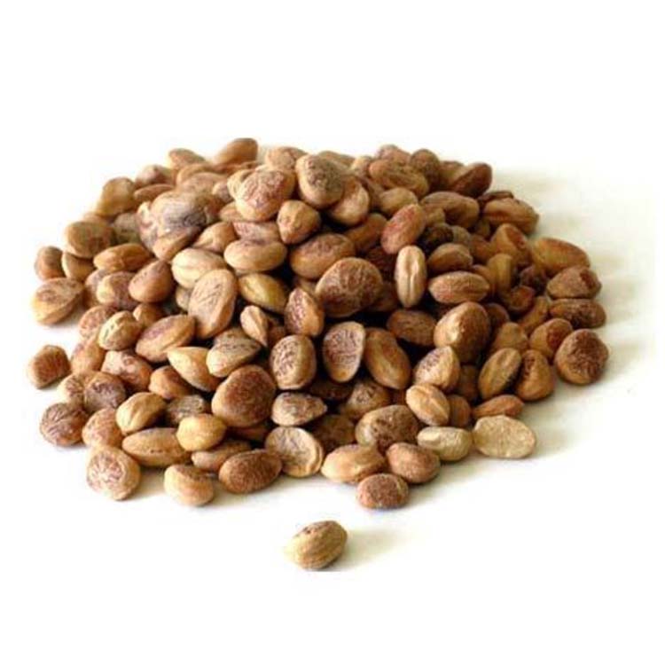  Chironji seeds