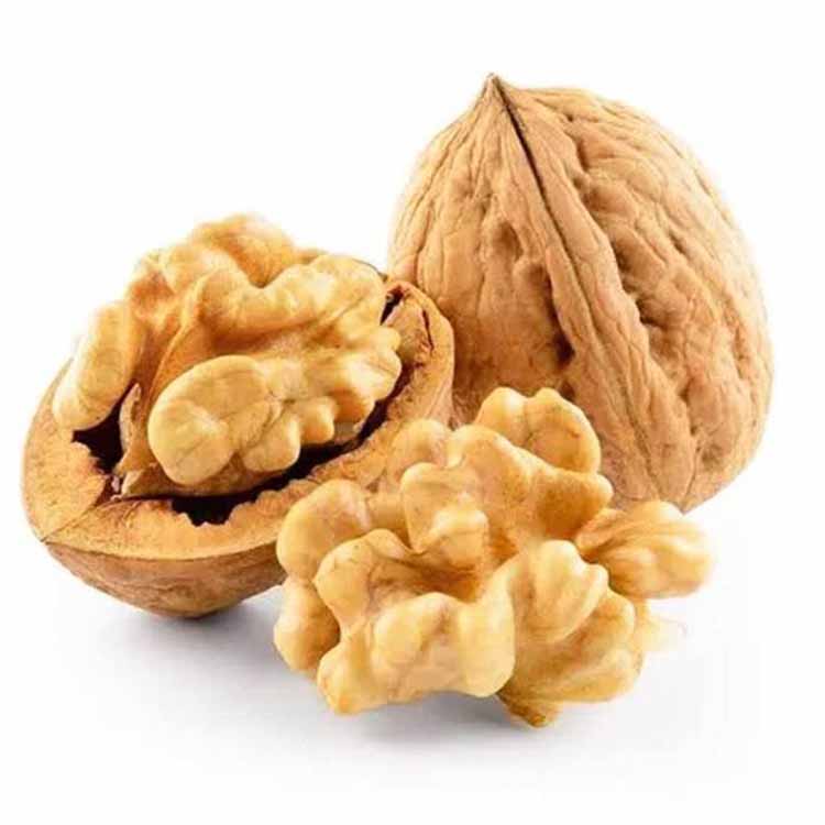 Order Premium Best Quality Walnuts With Shell Online - Healthy Master